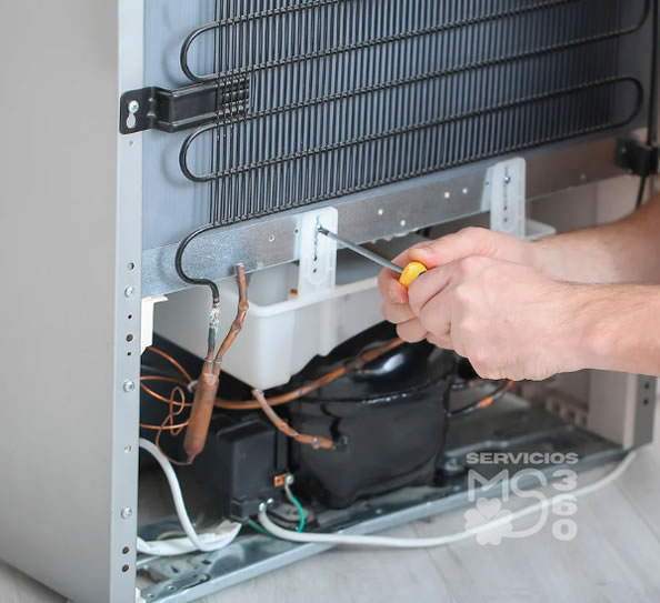 servicio profesional manitas