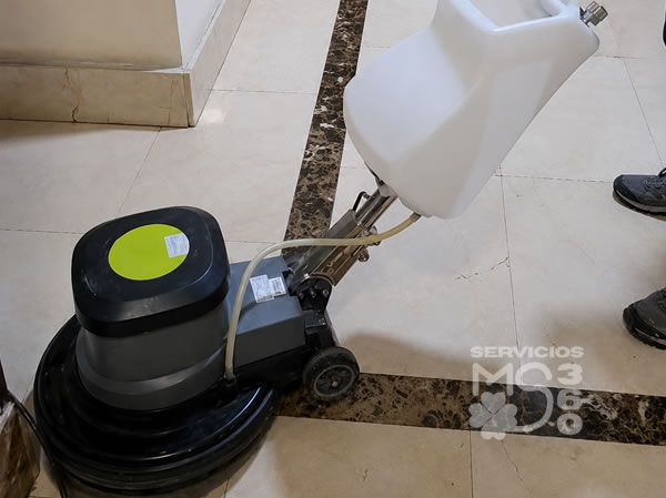 serviciosms360 presupuesto